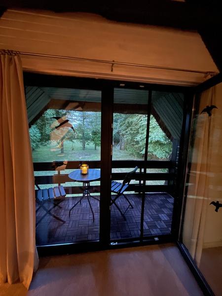 View from the veranda into the garden