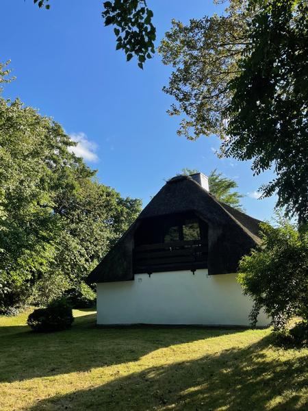 Back of the house with garden