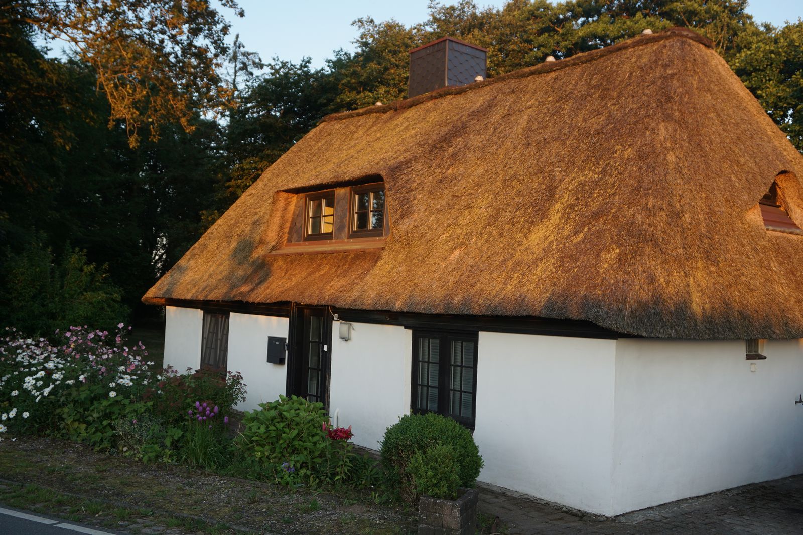 Thatched cottage from the front