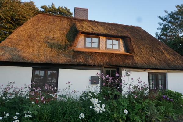 Thatched cottage from the front with flower garden