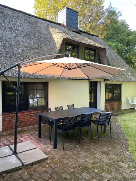 Terrace behind the house